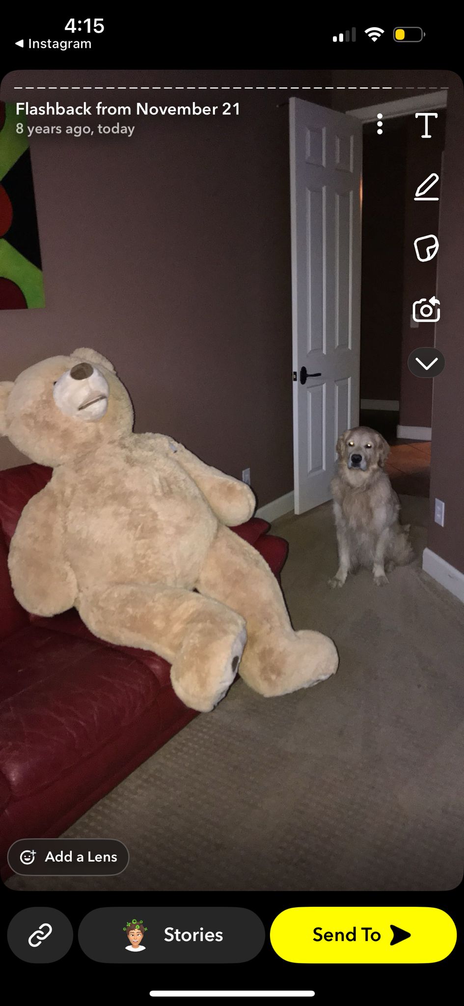 Dog next to giant teddy bear